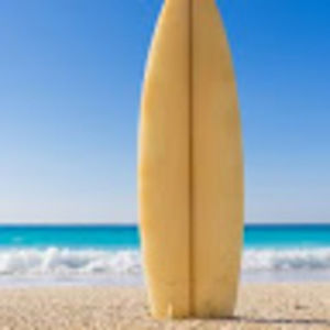 Meet your Posher, Jade